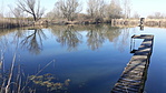 Kalocsa