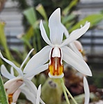 277279979_731031427893488_8885814291127163384_n