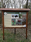IMG_20220415_143546