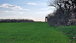 IMG_20220417_182530