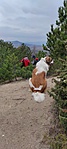 IMG_20220402_111601
