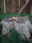 IMG20220417195447