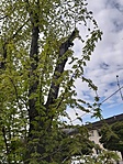 20220428_095644