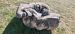 IMG_20220412_114740