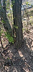 IMG_20220412_120910