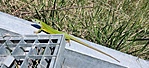 IMG_20220412_125938