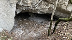 IMG_3103