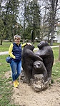 IMG_3221