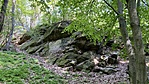 IMG_3350