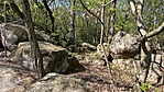 IMG_3353