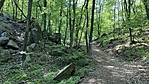 IMG_3355