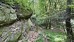 IMG_3354