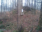 P_20201230_145236