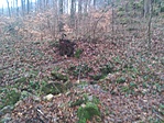 P_20201230_145243