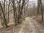 Basina-völgy-2