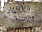 Judit-forrás és mésztufa gátsor-7