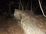 Borjú-völgyi szikla-4