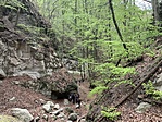 IMG_9728