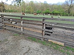 IMG_20220426_164714