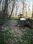 IMG_20220411_102908