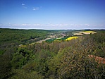 IMG_20220428_121815