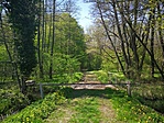 IMG_20220428_115419