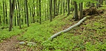 Kisvár-oldal, rejtek fentről
