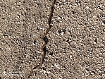 IMG_20220414_161850