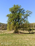 IMG_20220420_082653
