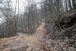 Letérő a kékről