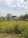 IMG_6636