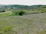 DSCN0039