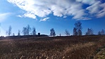 IMG_20220115_114242