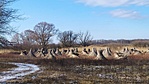 IMG_20220115_115953