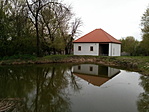IMG_20220415_132544