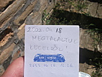 log