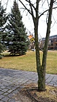 20220403_125601_resized