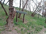 IMG_20220415_100625