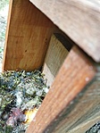 IMG_20220430_114634