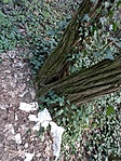 IMG_20220411_113056