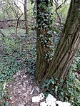IMG_20220411_113100