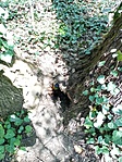 IMG_20220411_113249