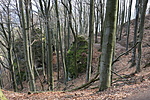IMG_7835
