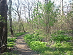 P1250457