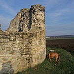 IMG_20220402_075513