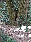 IMG_20220407_185929_1