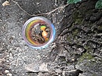 IMG_20220407_190322