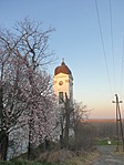 20220322_173915