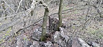 IMG_20220404_180134