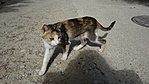 DSC01434